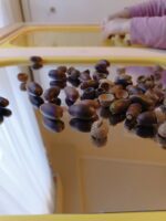 Άθραυστος Πίνακας Καθρέφτης - Image 5