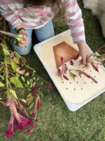 Πίνακας "Γλάστρα" - Image 7