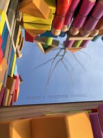 XL Άθραυστο Καπάκι Καθρέφτη για το FLISAT - Image 4