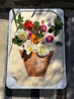 Πίνακας "Γλάστρα" - Image 2