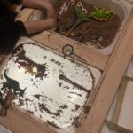 Fwtotrapeza 16