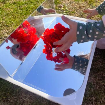 πίνακας καθρέφτης trofast