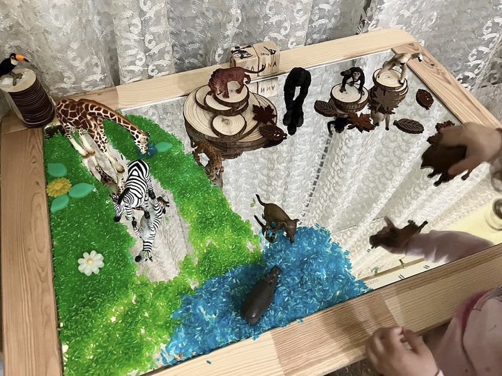 XL Άθραυστο Καπάκι Καθρέφτη για το FLISAT - Image 3