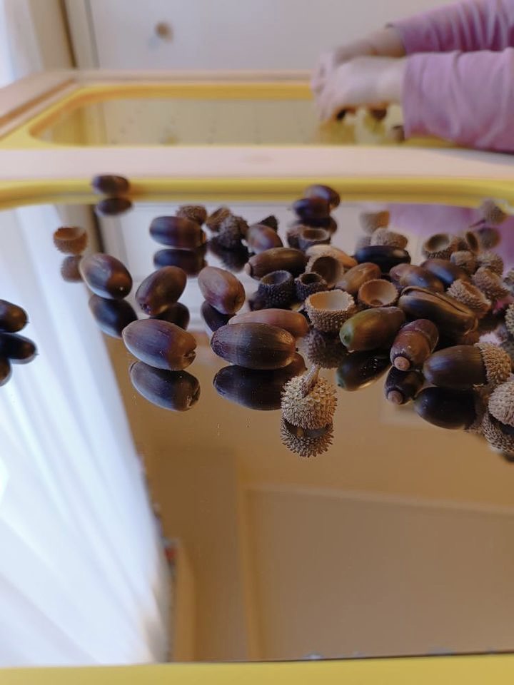 Άθραυστος Πίνακας Καθρέφτης - Image 5