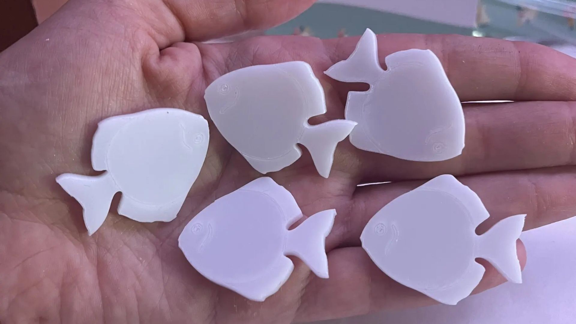 Blog ακρυλικά ψαράκια