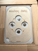 Πίνακας Κύκλου Ζωής - Image 8