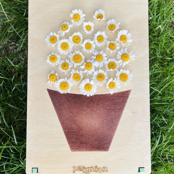 pocket size πίνακας γλάστρα