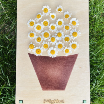 pocket size πίνακας γλάστρα