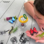 Βάζο Παρατήρησης Εντόμων - Image 2