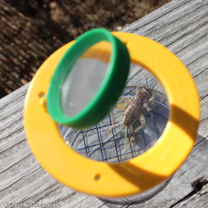 Βάζο Παρατήρησης Εντόμων - Image 3