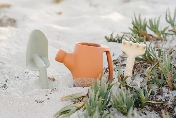 71qPXox jPL. AC SX679 .jpg