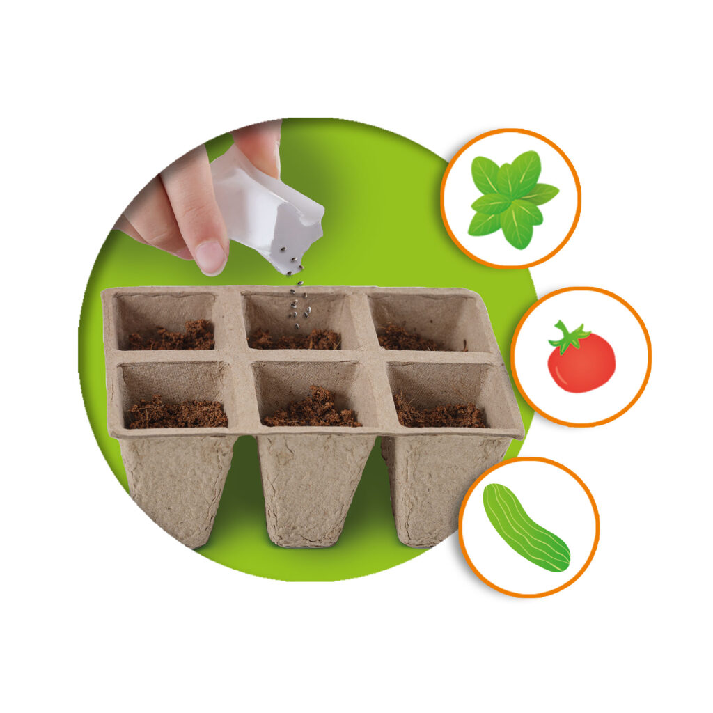 STEM Λαχανικά Θερμοκηπίου - Image 4