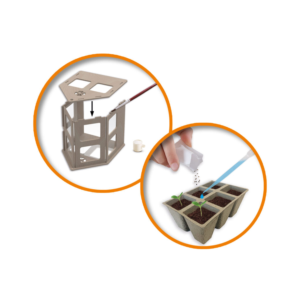 STEM Λαχανικά Θερμοκηπίου - Image 5