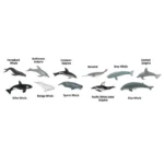 Μινιατούρες Safari - Φάλαινες και Δελφίνια - Image 2