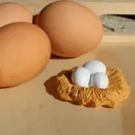 Μινιατούρες - Κύκλος Ζωής μιας Κότας - Image 5