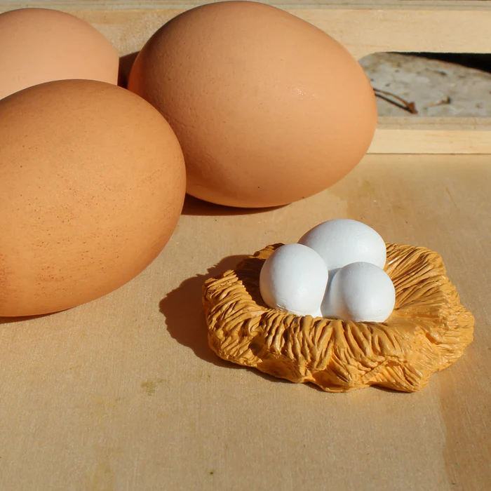 Μινιατούρες - Κύκλος Ζωής μιας Κότας - Image 5