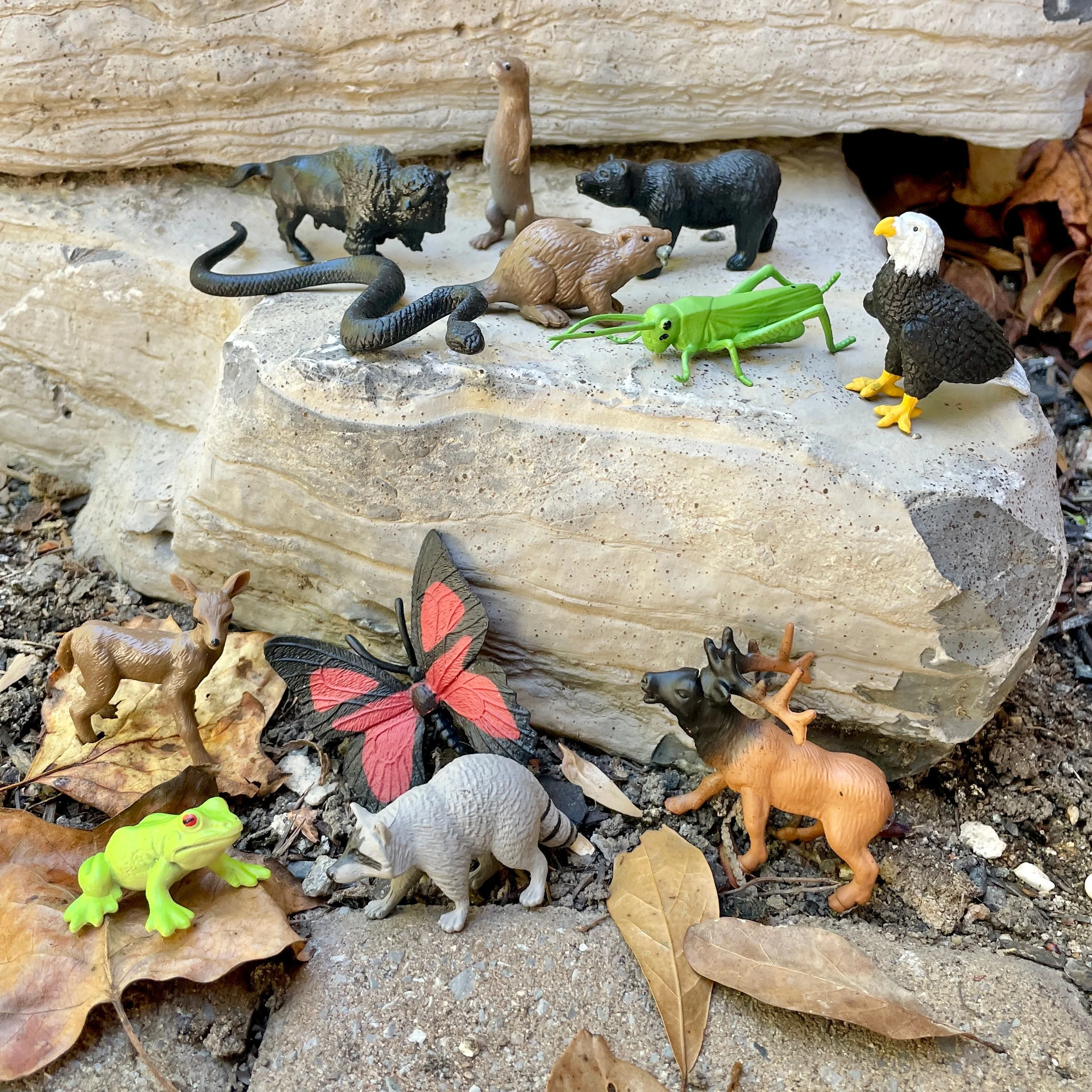 Μινιατούρες Safari - Ζώα του Δάσους - Image 4