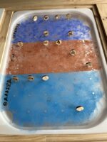 Ενσφηνώματα Γη- Ουρανός- Θάλασσα - Image 3