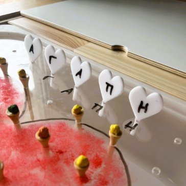 Ensfinomata Kardoules