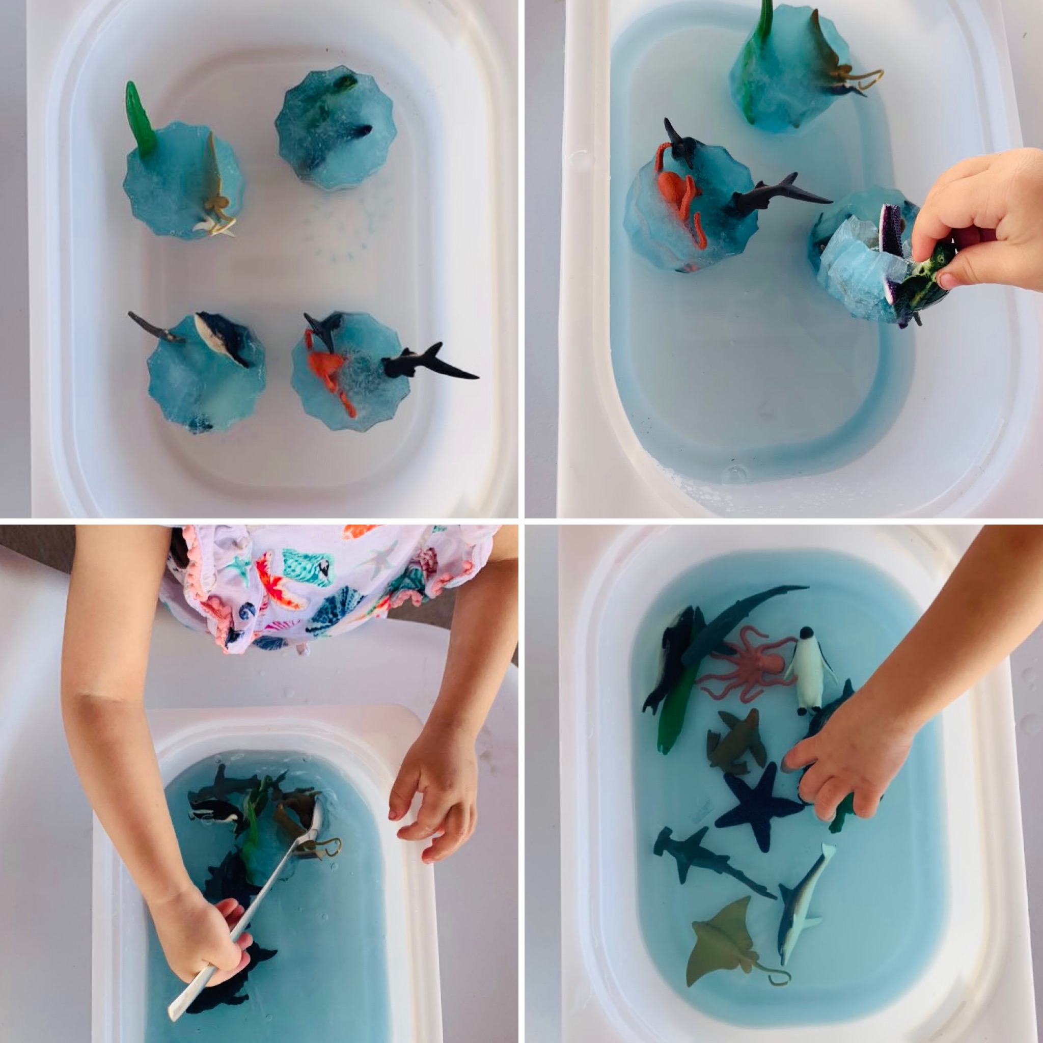 E8d9fd60 166c 4be6 Bc3f 61f31fca7dd6