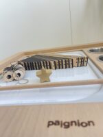 Christ-maths Tree - Image 10