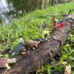 Ffgxujd18xpavjdtwsl1