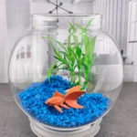 Im9gebw6jxtlkzicwtrb