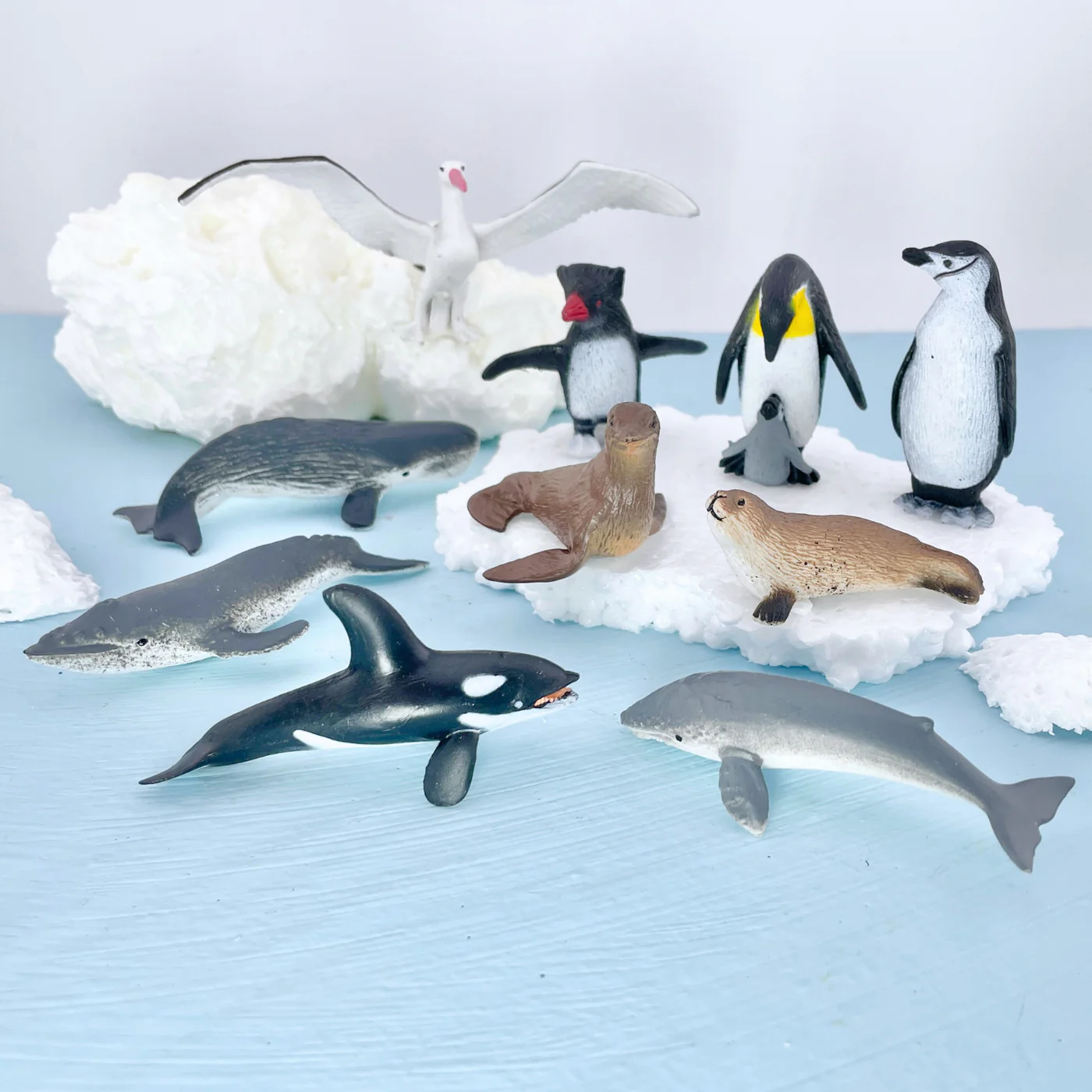 Cngyx3nsdphlyrg82svb