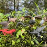 Xkfoxhoo1mqczl05a1vm