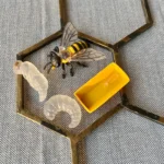 Xngsbmd3rw4yzi1lqrsx