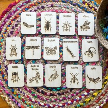 κάρτες έντομα