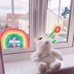 92264416 1610602732425946 6108861487821342731 n