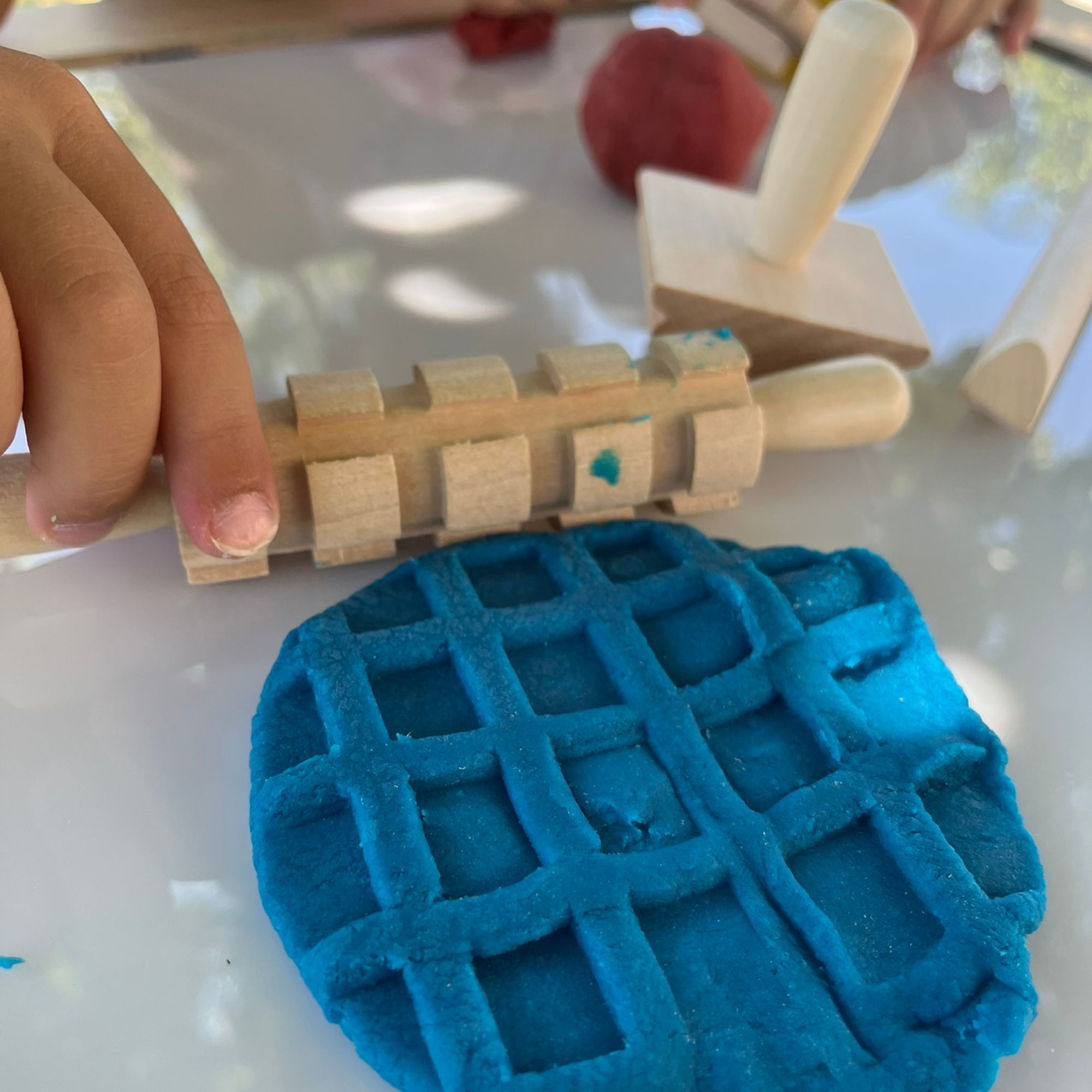 Ergaleia plastelinis (2)