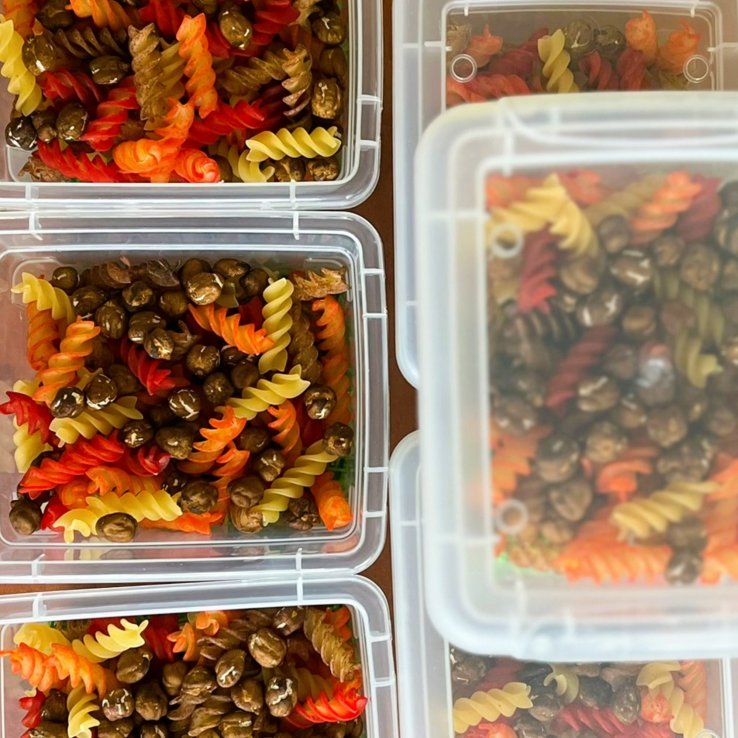 aisthitiriako uliko - 1 αισθητηριακό υλικό