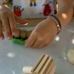 Ergaleia plastelinis (3)