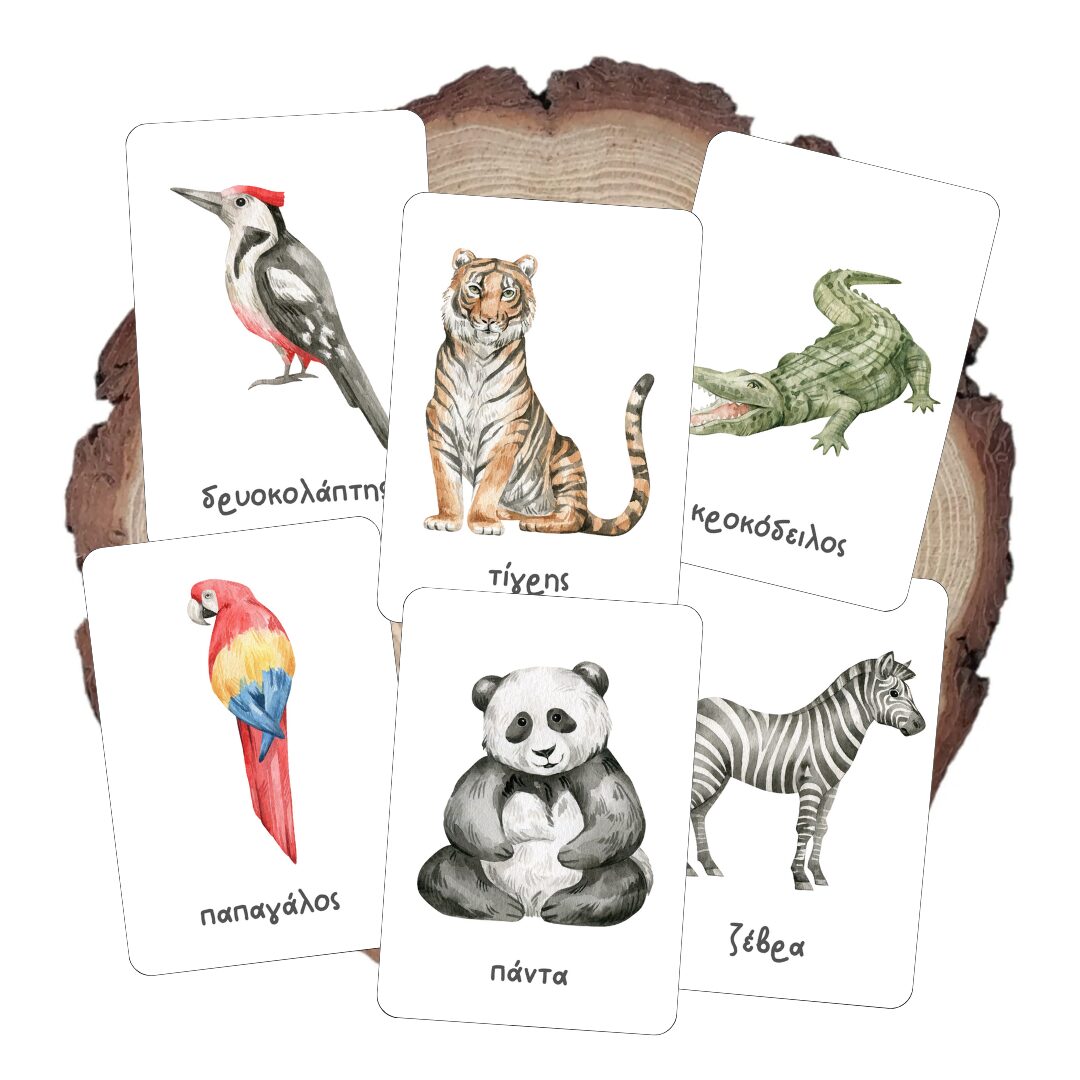Κάρτες Άγρια Ζώα