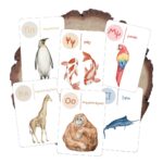 Κάρτες Αλφαβήτας & Αριθμών