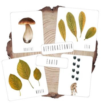 κάρτες φθινόπωρο