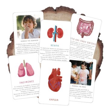 Όργανα του Σώματος