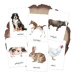 Κάρτες Ζώα Φάρμας