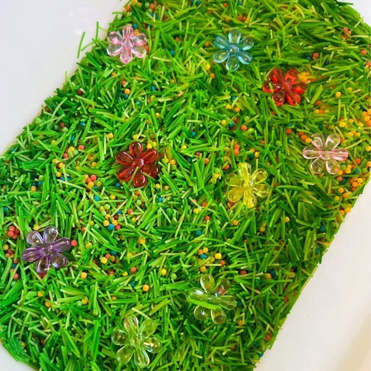 αισθητηριακή βάση