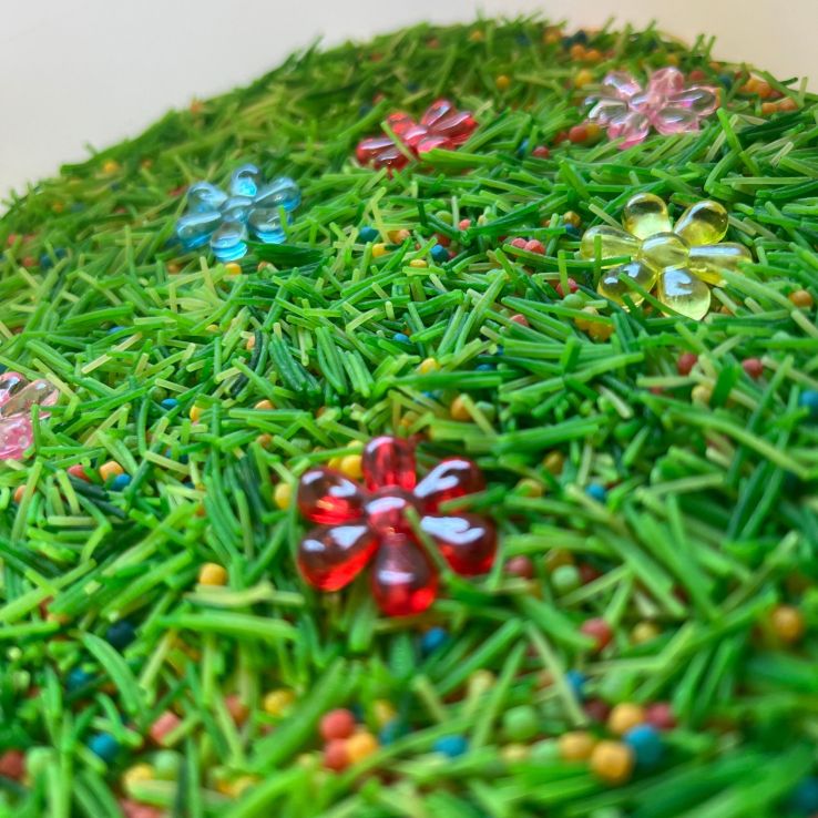 αισθητηριακή βάση