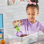 Handy Scooper